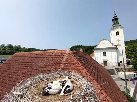 Obrockanje 0