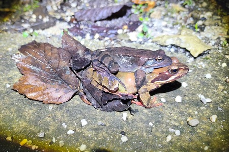 original_e82d51fd-196d-4f25-8600-e178806d94ef_IMG_20260214_180823