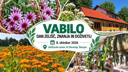 Dan zelisc naslovna