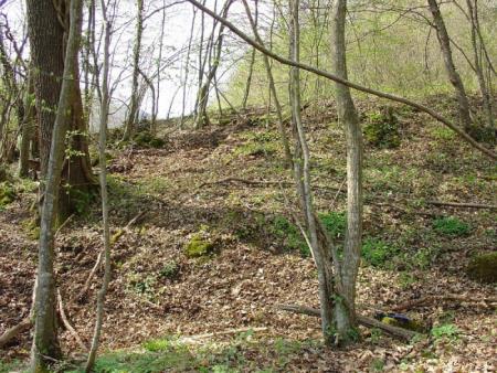 Očistimo Slovenijo v enem dnevu 19