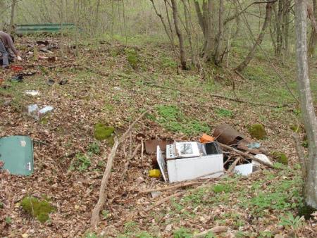 Očistimo Slovenijo v enem dnevu 22