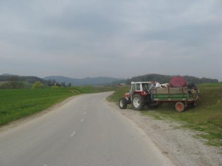 Očistimo Slovenijo v enem dnevu 35