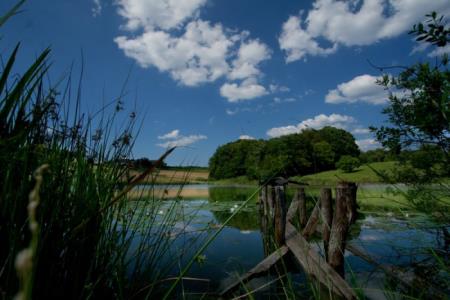 Fotografski natečaj Občine Škocjan 2010 8