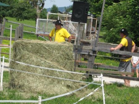 Razstava konj Konjerejskega društva Škocjan 7