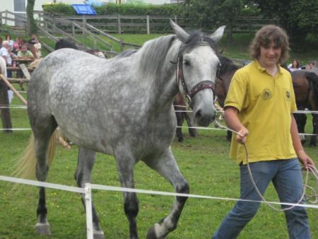 Razstava konj Konjerejskega društva Škocjan 15