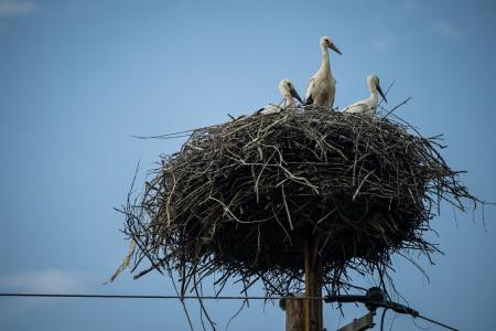 SKOCJAN_JM24_20240708_035_2476