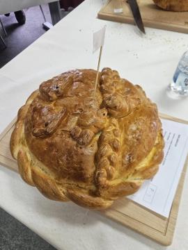 428653414_400378902641738_537359817384465323_n