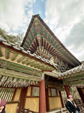 486967090_10236081370164085_4072081288380678923_n